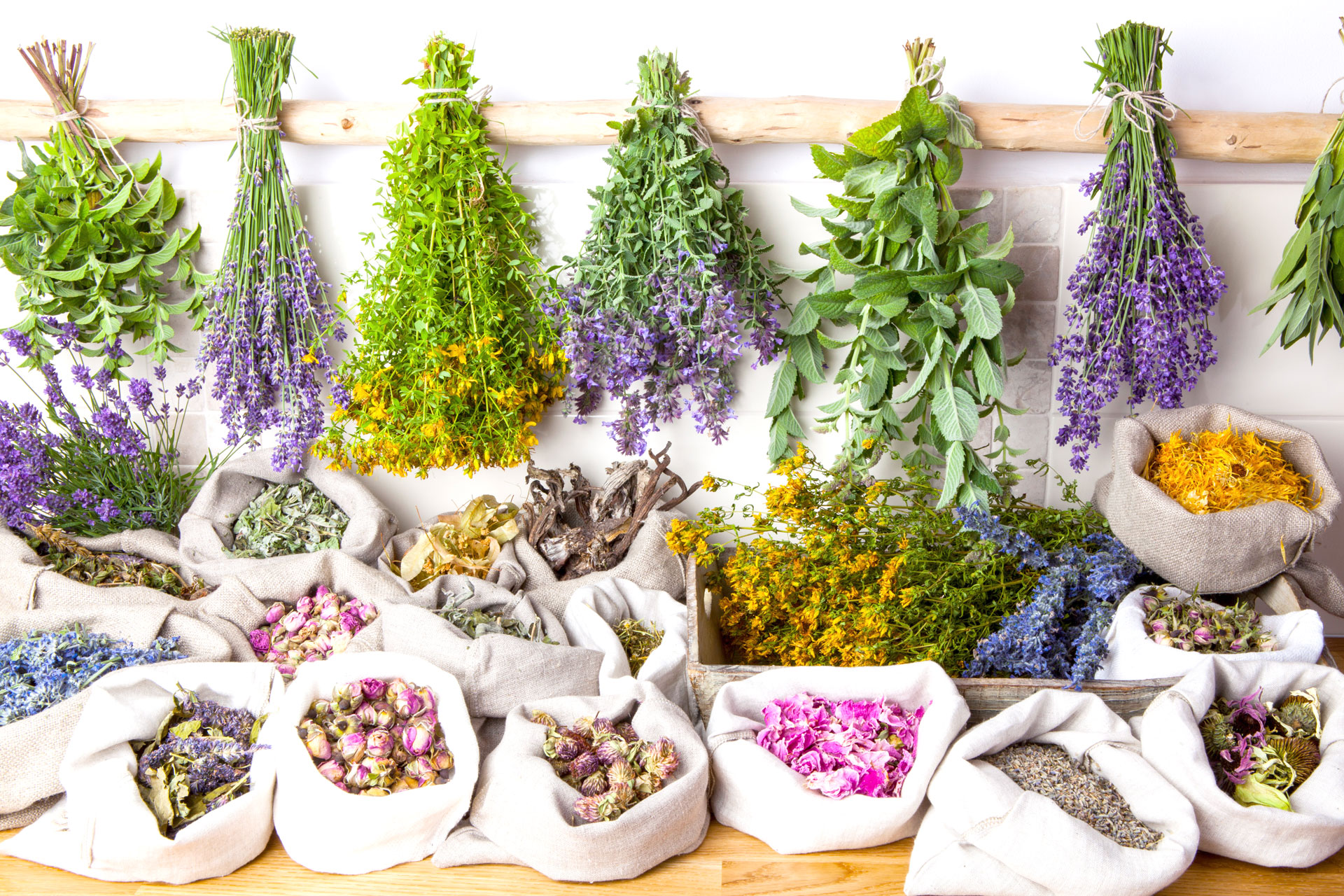 Plantes-medicinals